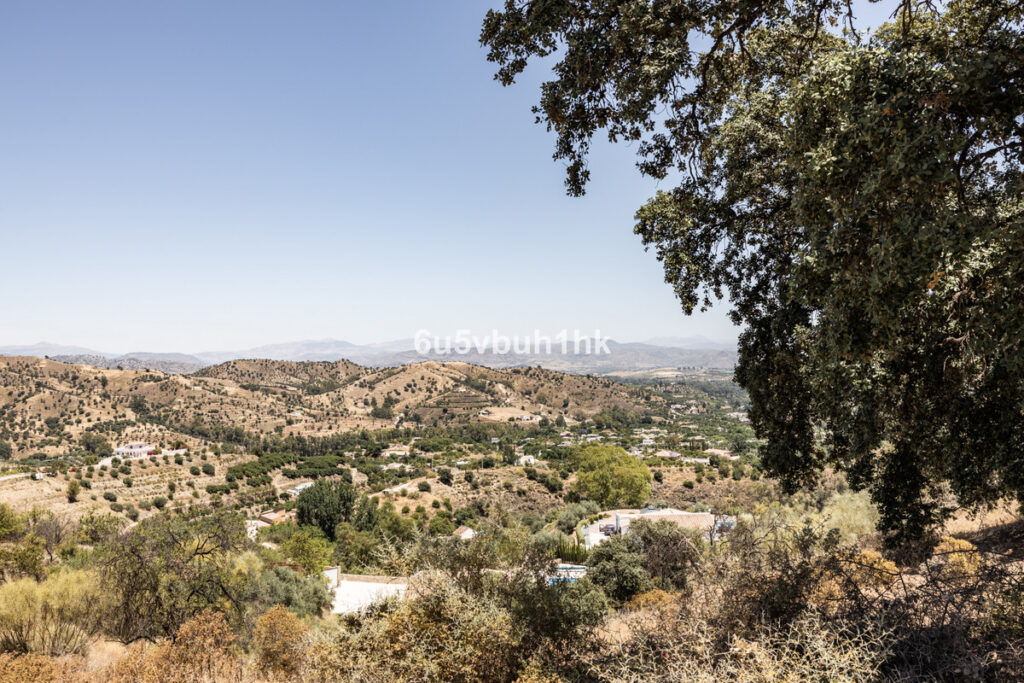 Land Coín