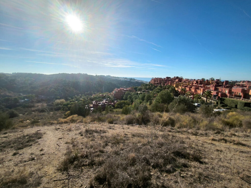 Land with Ruin Las Chapas