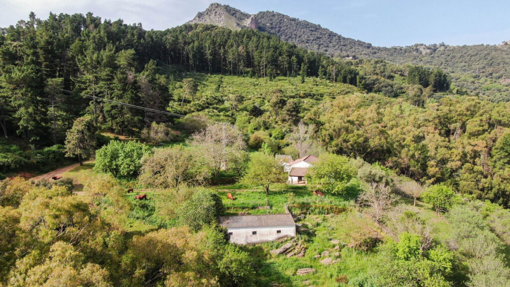 Finca – Cortijo Gaucín