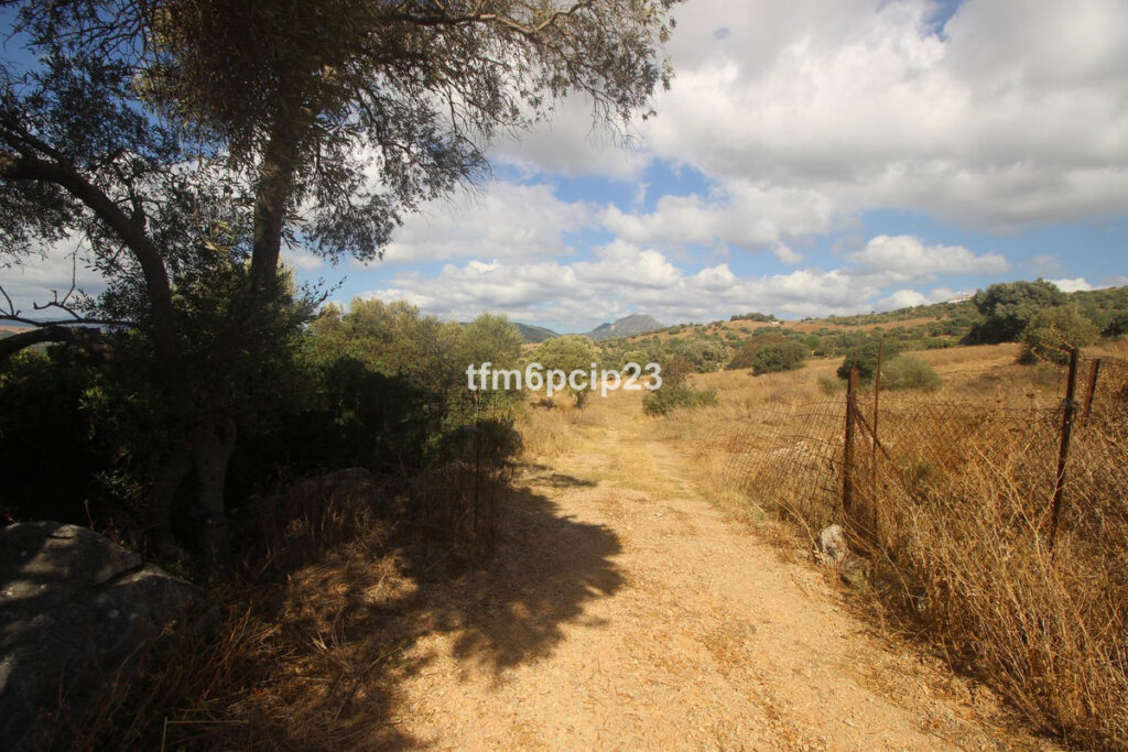 Land with Ruin Casares