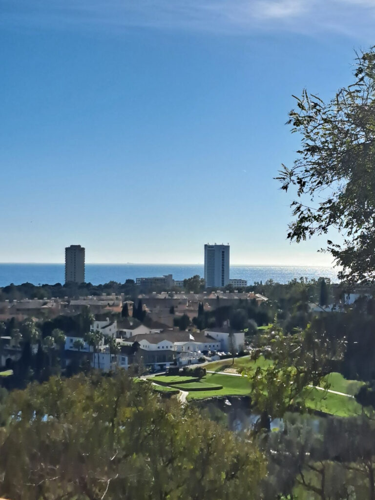 Penthouse Duplex Elviria