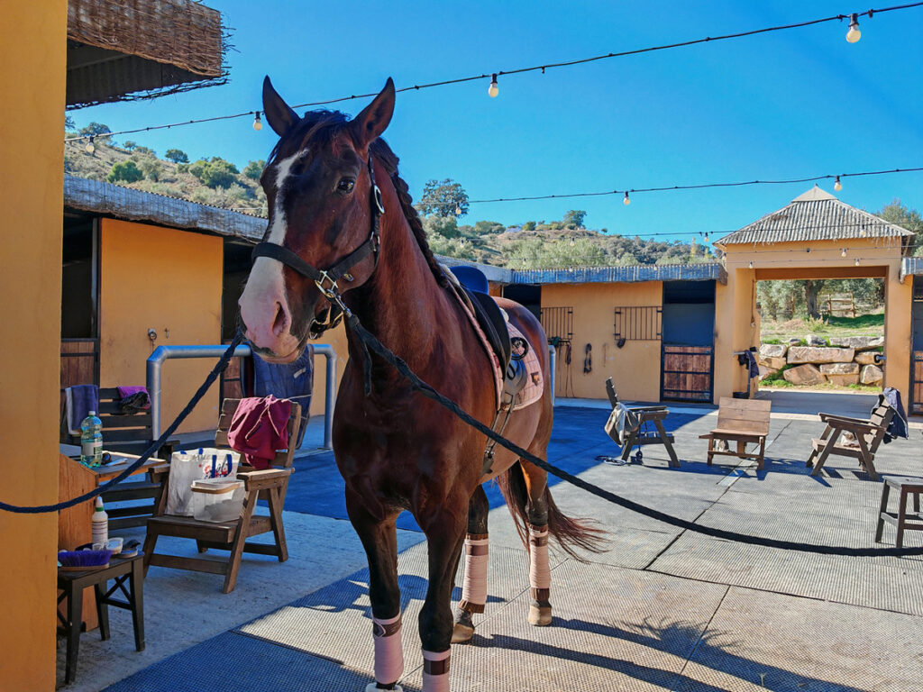 Finca – Cortijo Coín