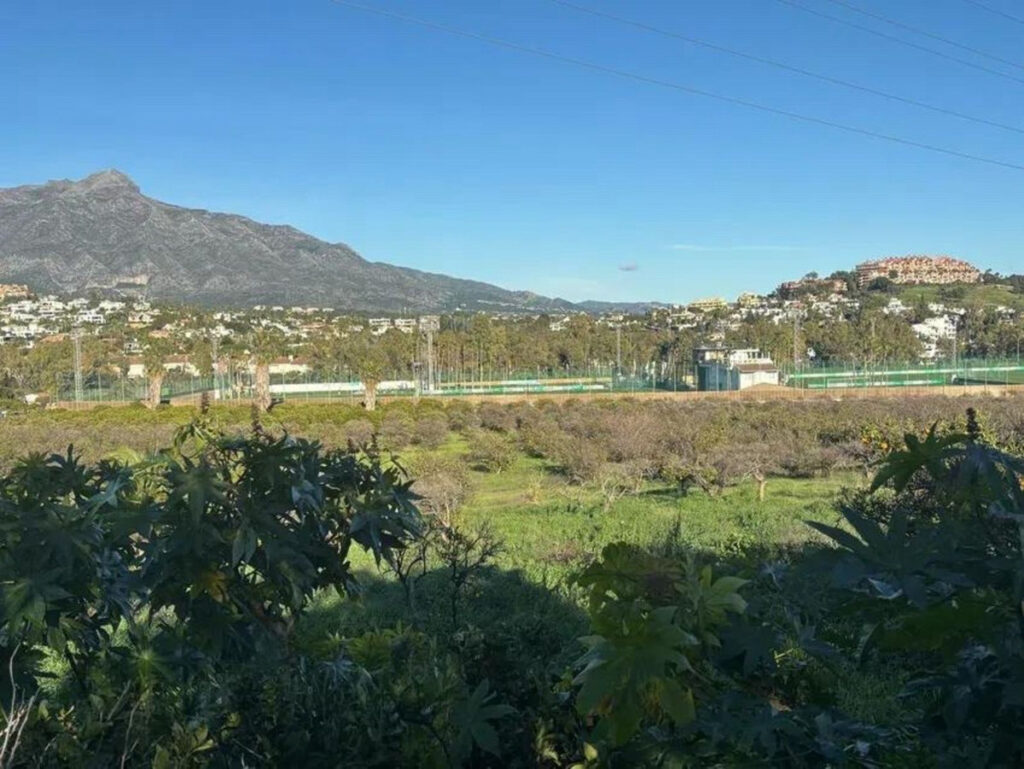 Land San Pedro de Alcántara