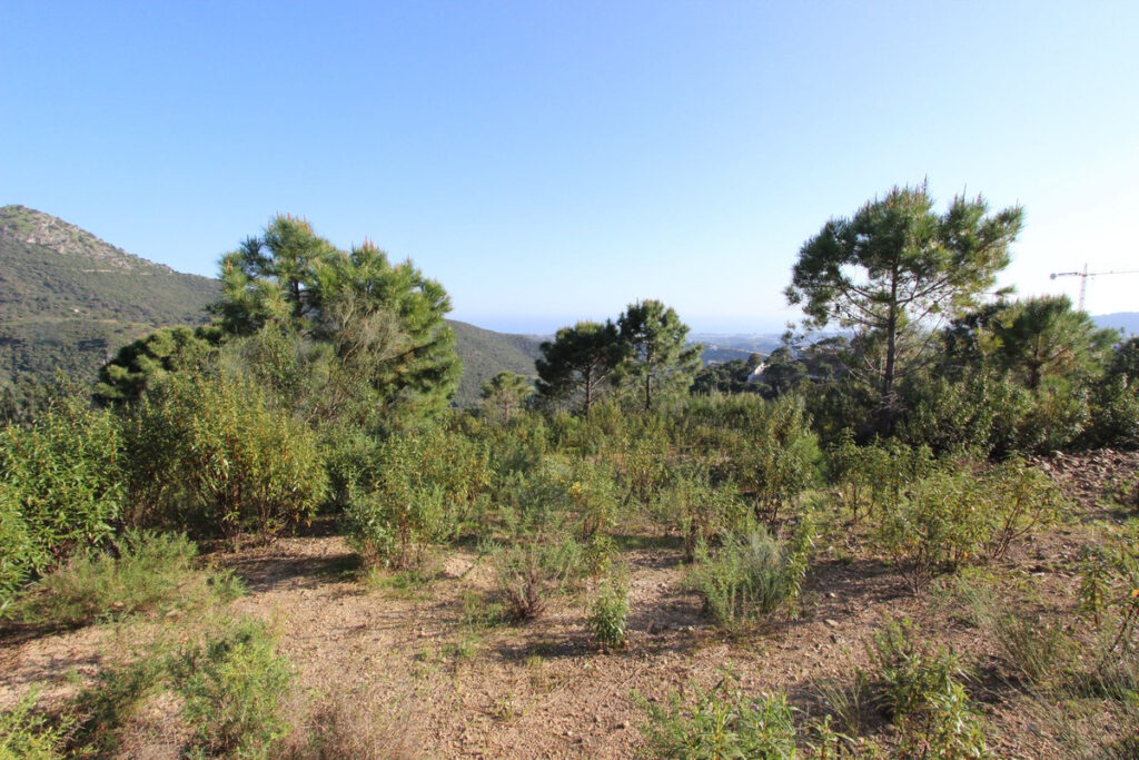 Residential Plot Benahavís