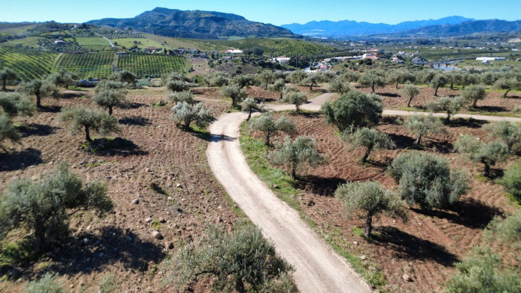 Residential Plot Alora