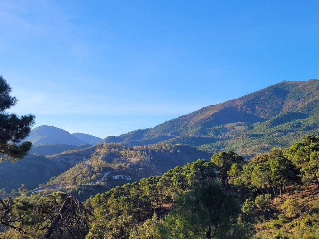 Land La Zagaleta
