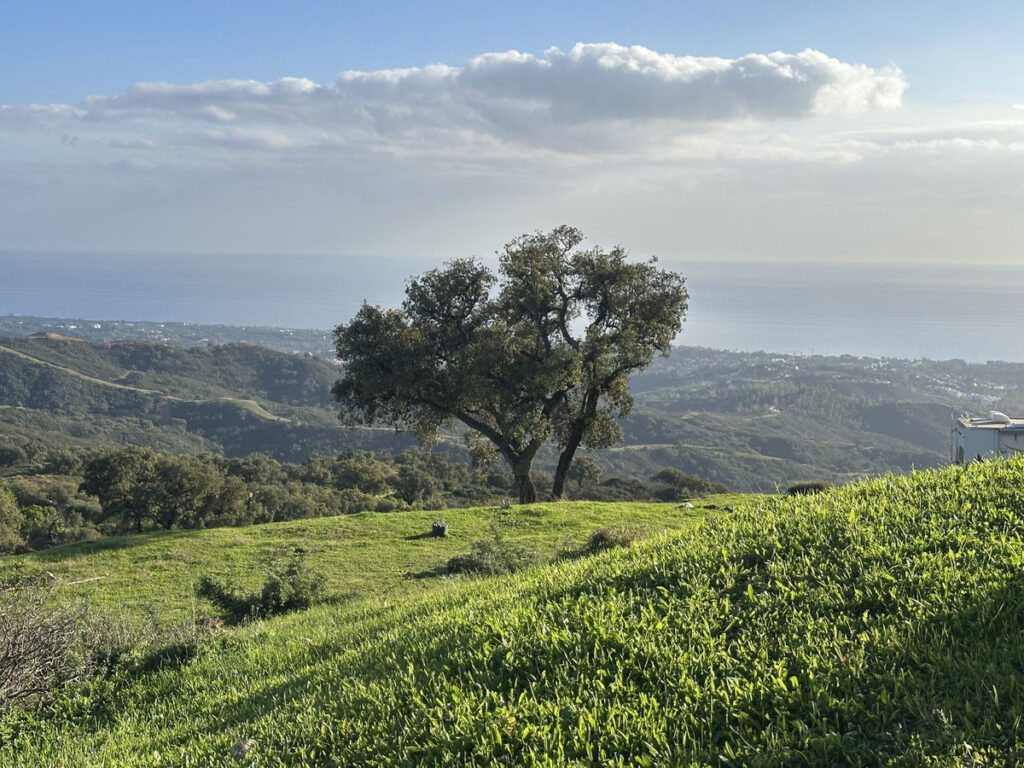 Land La Mairena