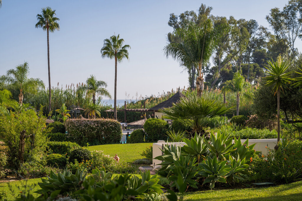 Ground Floor Apartment Estepona
