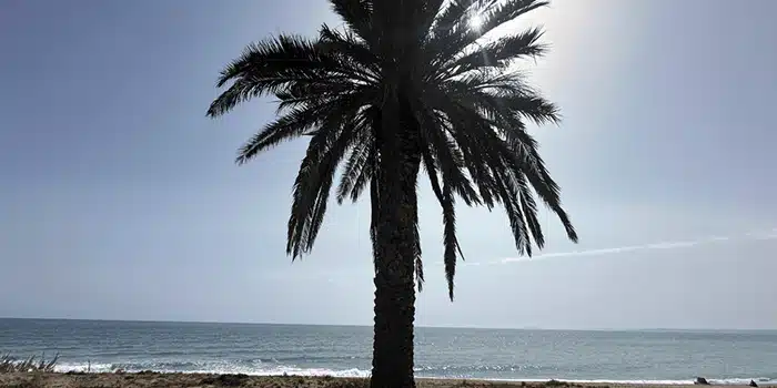 puerto banus marbella